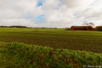 Field and farm Field and farm