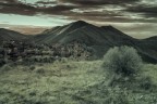 Norma_alba-IR_DSC_5079 Norma_alba-IR_DSC_5079