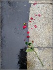 Un amore impossibile Un amore impossibile