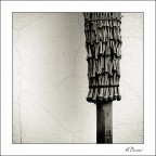 Broomstick study - 2006 - Nr.01