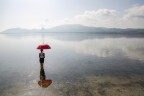 Una "mattina" allo stagno Una "mattina" allo stagno
