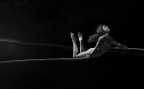 Linea muscolare Linea muscolare