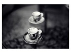 25112018_DSC8536-BN2 25112018_DSC8536-BN2