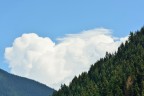 Nel cuore della natura Nel cuore della natura