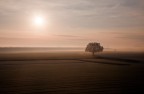 solitario.... solitario....