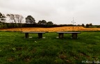 Le due panchine solitarie Le due panchine solitarie