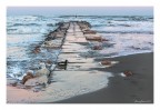 Richiamo...... al tramonto Richiamo...... al tramonto