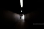 Interni Interni
