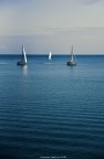 Immensità Immensità