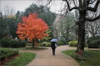 Autunno img.011 Autunno img.011