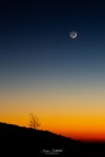 Luna Luna