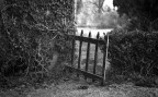 chi apre la porta di una scuola, chiude una prigione ;/) chi apre la porta di una scuola, chiude una prigione ;/)