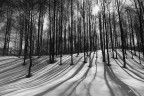 Long-shadows_DSC3077 Long-shadows_DSC3077