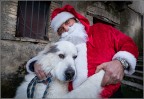 Adesso � Natale