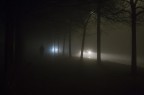 Lights in the night