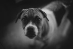 Nala 5 mesi Nala 5 mesi