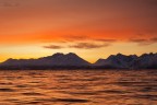Norway light Norway light