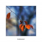 Autunno Autunno