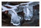 Ice Ice