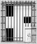 libertà libertà