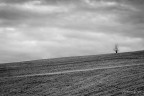 dark silence dark silence