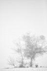 nebbia e neve nebbia e neve