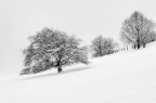 Magico Inverno Magico Inverno