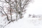 ricami di neve & vento ricami di neve & vento
