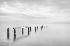 Pontile 2019 Pontile 2019