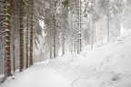 Winter time Winter time