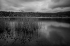 Lago di Nemi