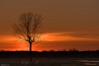al tramonto al tramonto