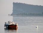 Il fuoriclasse Il fuoriclasse
