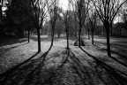 Luce