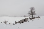Snow-and-fog_DSC6563
