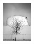 priorit�