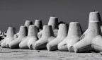Il censimento Il censimento