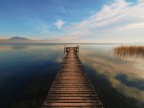 Pontile Pontile