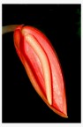 Prove di macro Prove di macro
