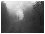 nebbia fitta..... nebbia fitta.....