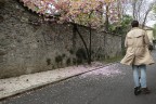Aria di primavera Aria di primavera