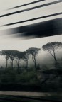 Verso... Verso...