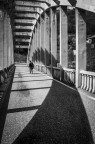 Ponte Ponte