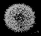 Fuochi artificiali......naturali Fuochi artificiali......naturali