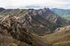 Lucania Lucania