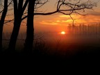 alba padana alba padana