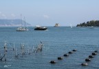 Mare... Mare...