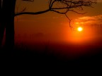 alba di marzo alba di marzo
