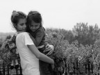 non temere non temere