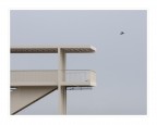volo volo